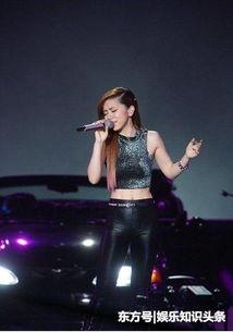 娱乐圈明星演唱会爆料,独家爆料背后的故事  第1张